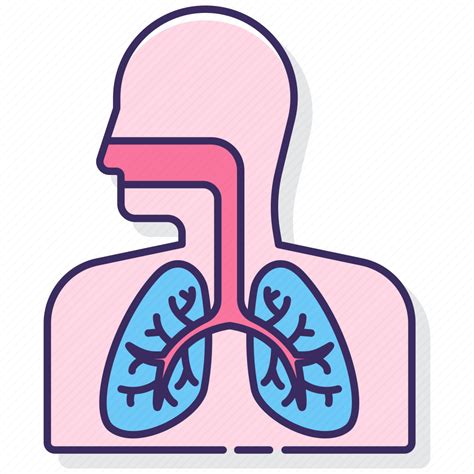 sistema respiratorio animado
